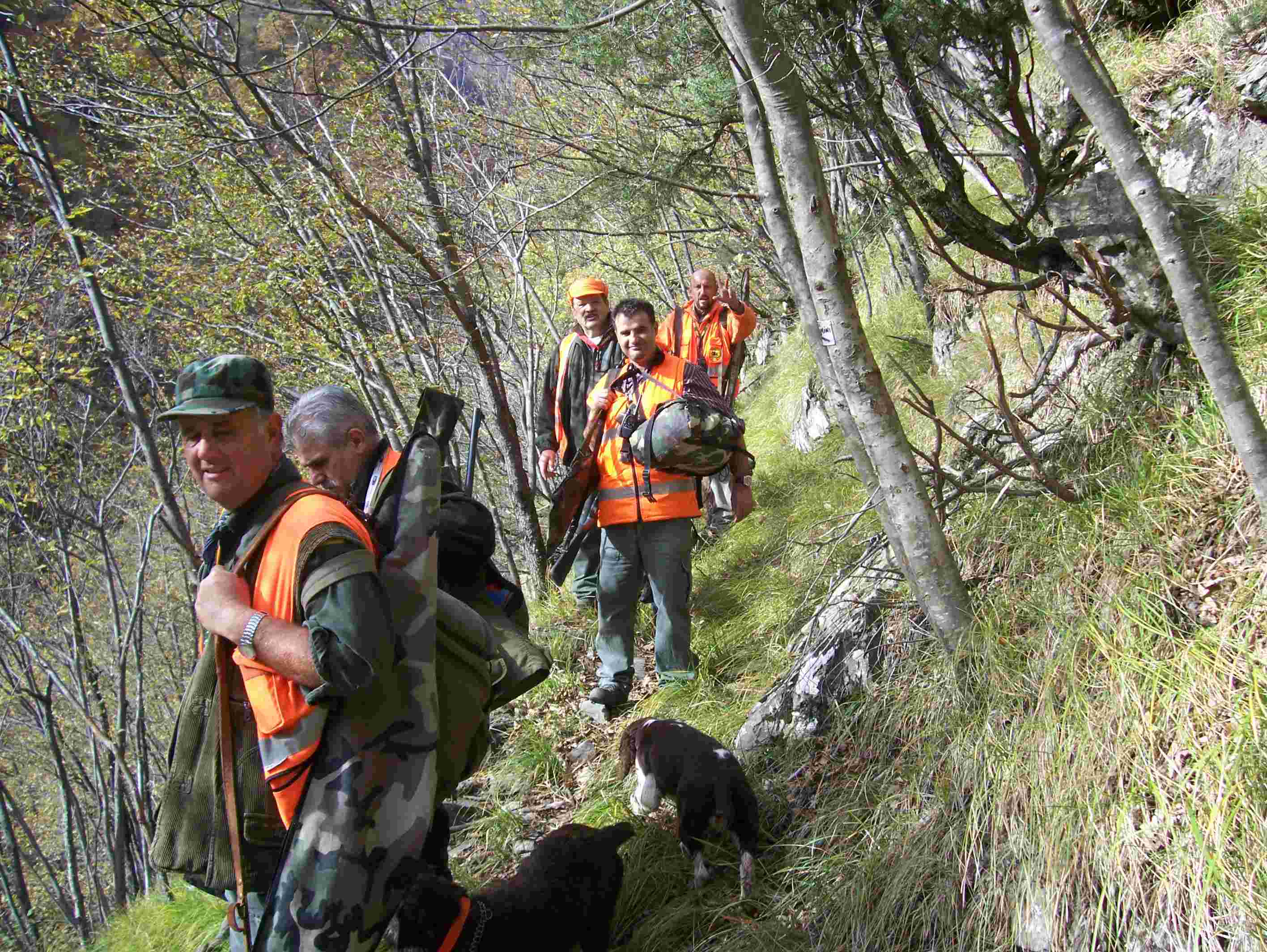  Image name: 88 Caccia.JPG 
 width: 2832 pixel 
 height: 2128 pixel 
 Size: 387787 bytes 
 Click to enlarge 